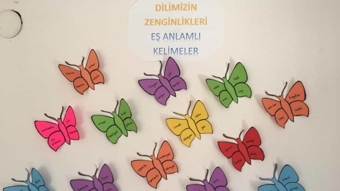 Dilimizin Zenginlikleri; Eş Anlamlı Kelimeler Etkinliği